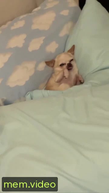 Кадр на 0:00