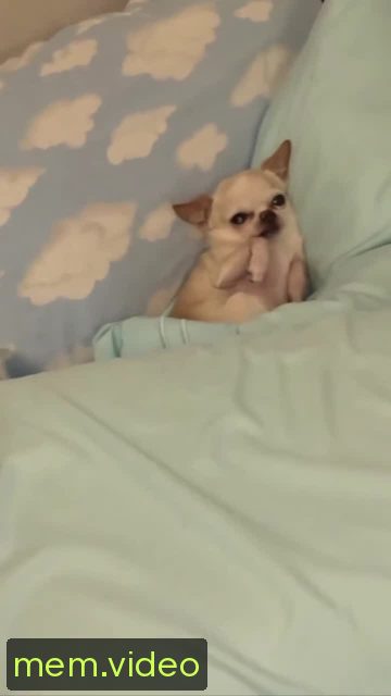 Кадр на 0:00