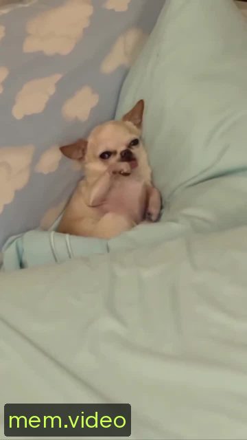 Кадр на 0:02