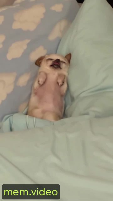 Кадр на 0:03