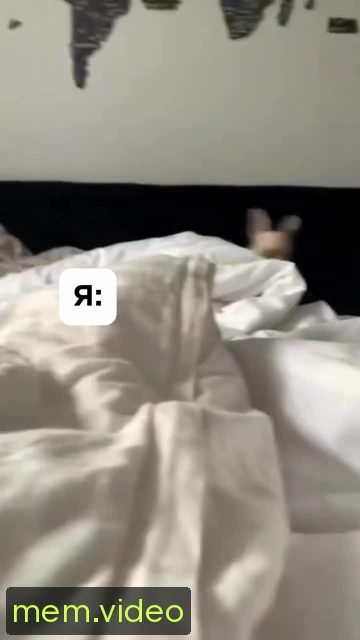Кадр на 0:02