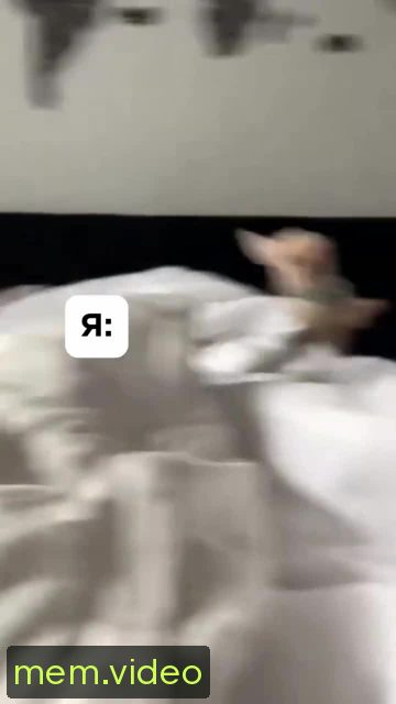 Кадр на 0:02