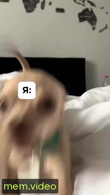 Кадр на 0:03