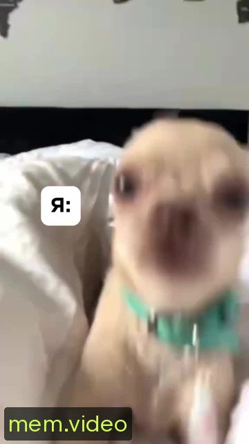 Кадр на 0:03