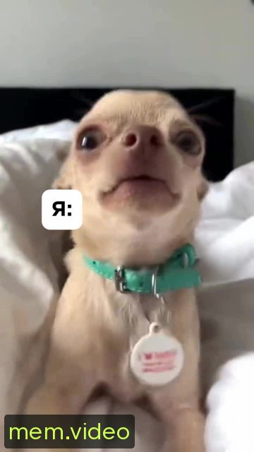 Кадр на 0:04