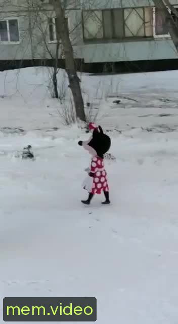 Кадр на 0:00