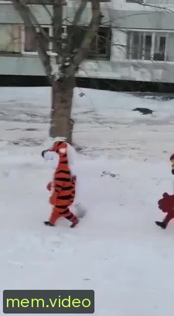 Кадр на 0:05