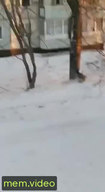 Кадр на 0:12