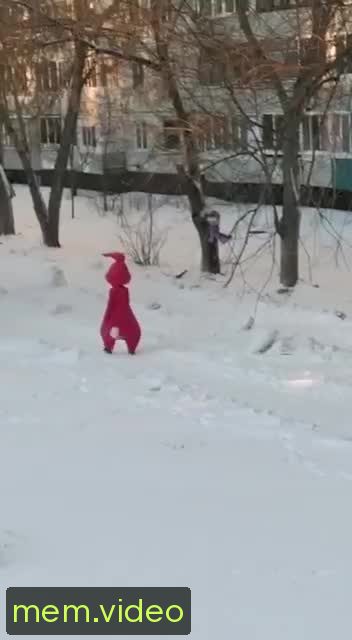 Кадр на 0:47