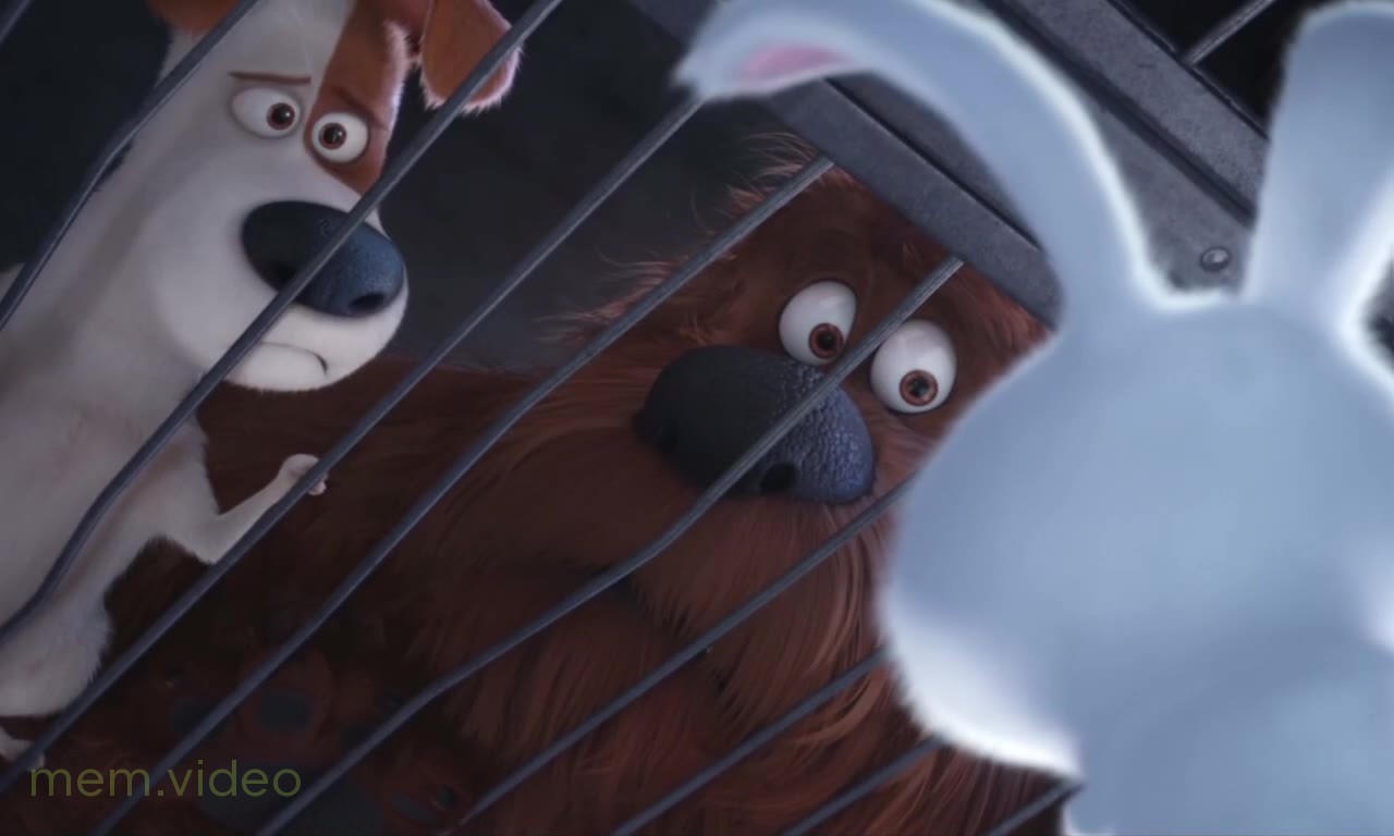 Кадр: «Теперь вы пашете на меня» из «Тайная жизнь домашних животных»