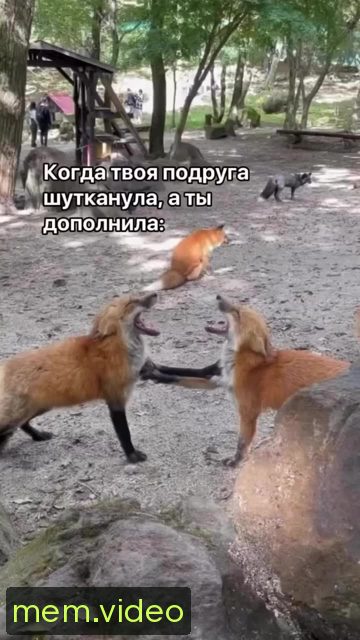 Кадр на 0:00