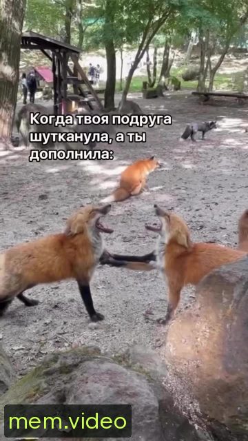 Кадр на 0:00