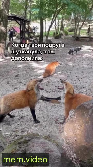 Кадр на 0:01
