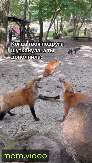 Кадр на 0:02