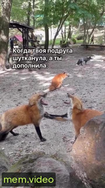 Кадр на 0:03