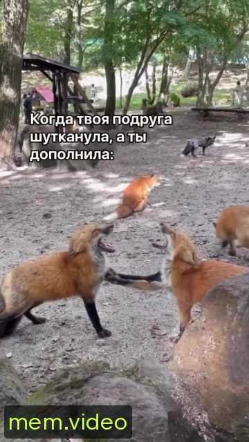 Кадр на 0:04