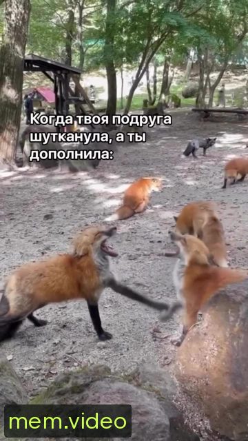 Кадр на 0:05