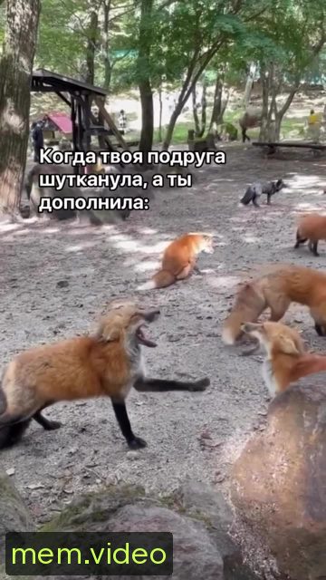 Кадр на 0:06
