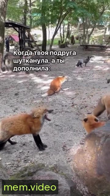 Кадр на 0:07