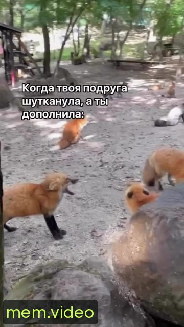 Кадр на 0:07
