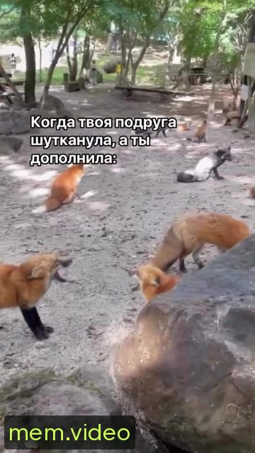 Кадр на 0:08