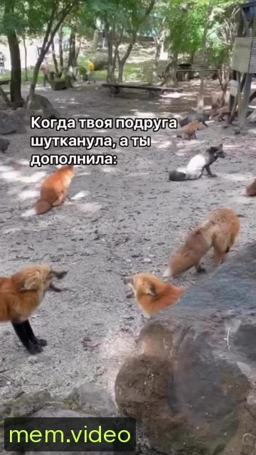 Кадр на 0:09
