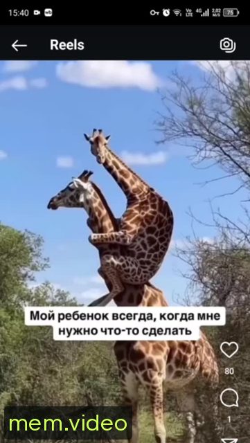 Кадр на 0:00