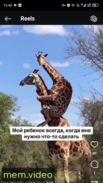 Кадр на 0:00
