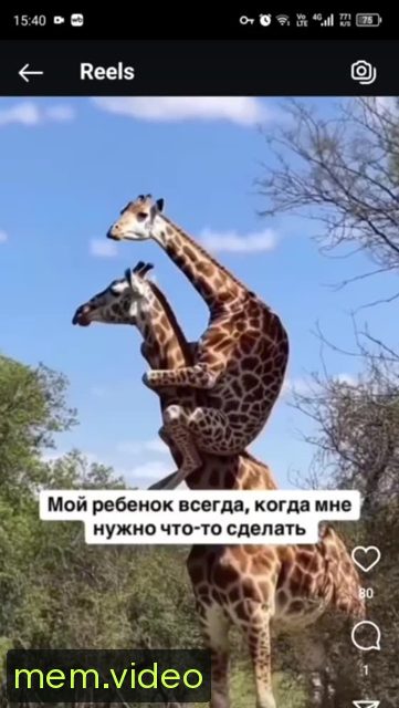 Кадр на 0:01