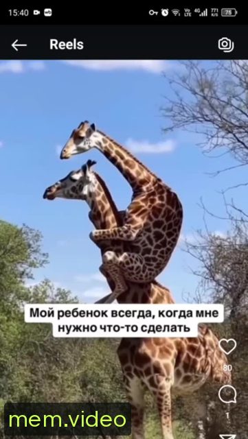 Кадр на 0:02