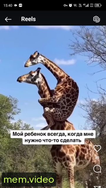 Кадр на 0:02