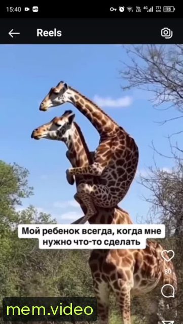Кадр на 0:03