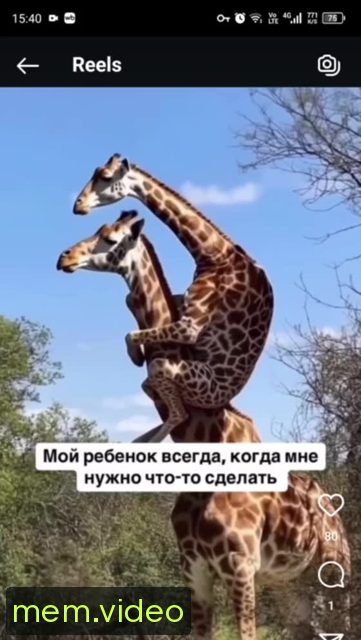 Кадр на 0:03