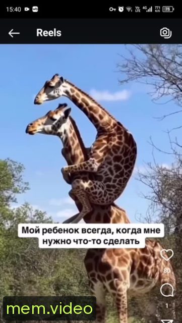 Кадр на 0:03