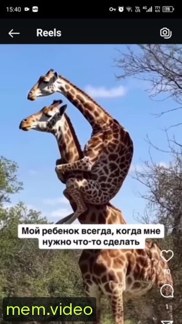 Кадр на 0:04