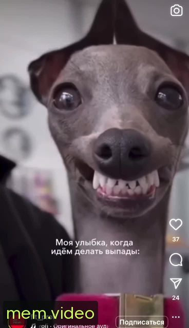 Кадр на 0:03