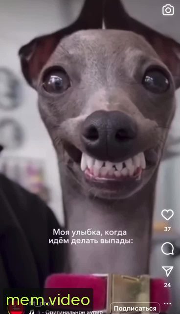 Кадр на 0:03