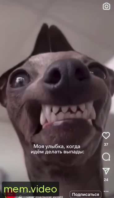 Кадр на 0:04