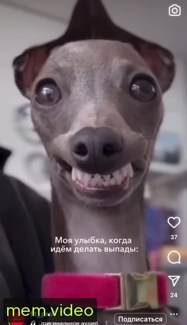 Кадр на 0:05