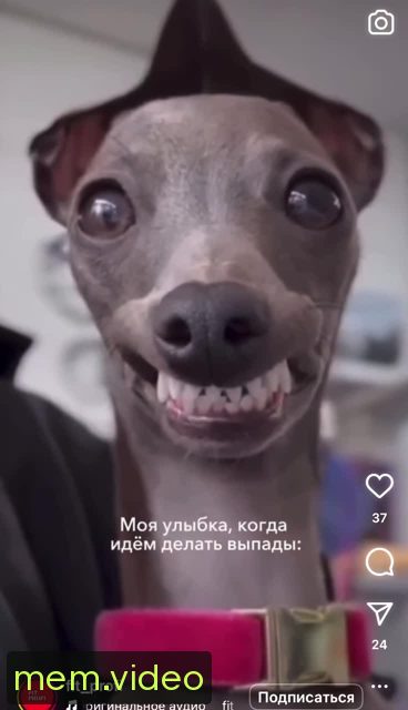 Кадр на 0:05