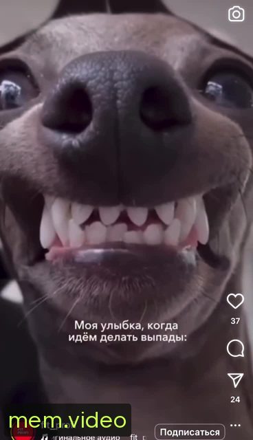 Кадр на 0:06