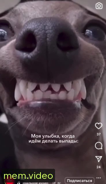 Кадр на 0:06