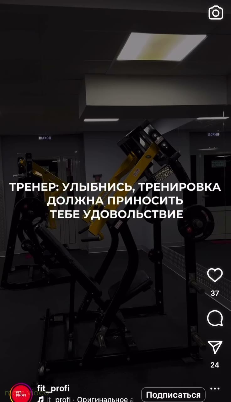 Кадр: «Я улыбаюсь этому миру» — собака скалит зубы