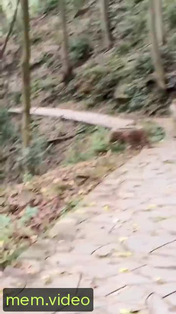 Кадр на 0:04