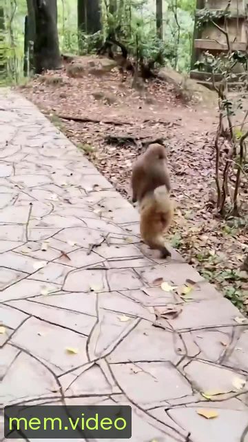 Кадр на 0:11