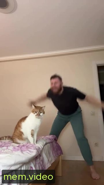 Кадр на 0:01