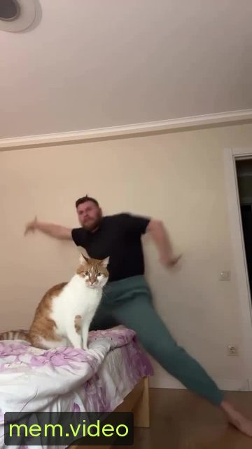 Кадр на 0:11