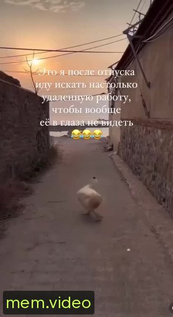 Кадр на 0:00