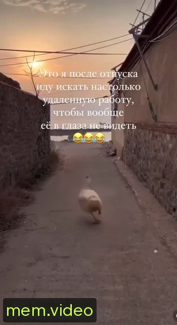 Кадр на 0:00