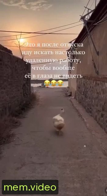 Кадр на 0:01